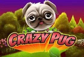 Crazy Pug