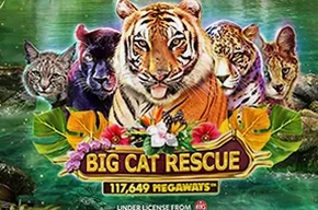 Big Cat Rescue Megaways